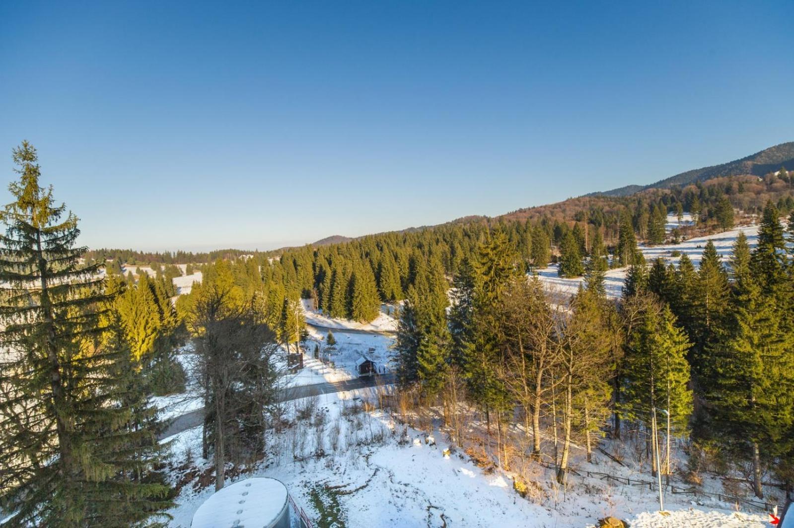 Family Apartment In Silver Mountain Resort ポイアナ・ブラショフ エクステリア 写真